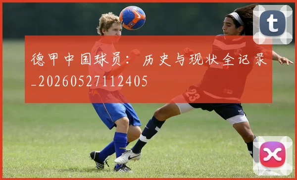 德甲中国球员:历史与现状全记录_20260527112405