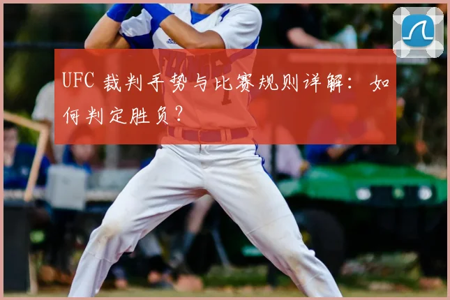 UFC 裁判手势与比赛规则详解：如何判定胜负？