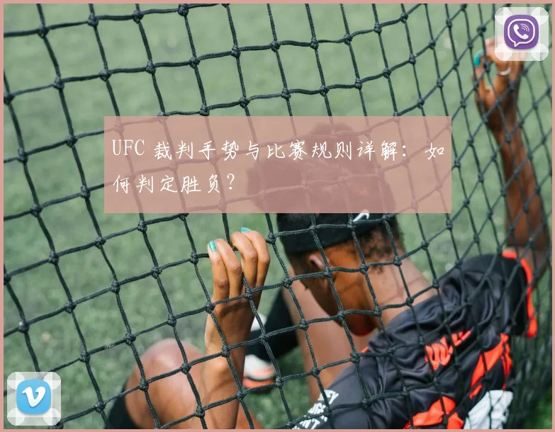 UFC 裁判手势与比赛规则详解:如何判定胜负?