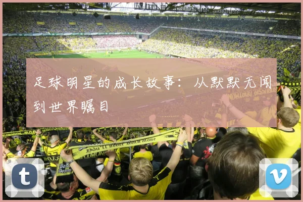 足球明星的成长故事:从默默无闻到世界瞩目